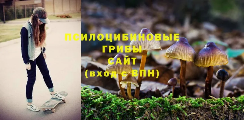 Псилоцибиновые грибы MAGIC MUSHROOMS  Карпинск 